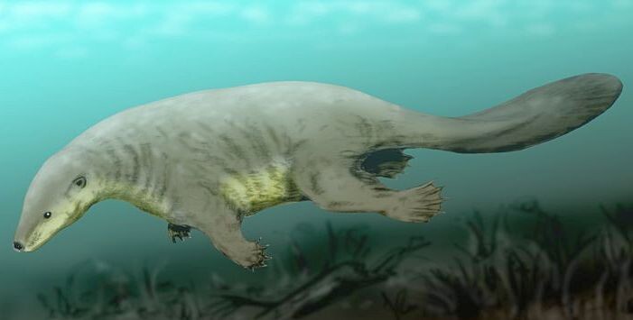 Касторокауда из группы докодонтов. Средняя юра Внутренней Монголии (КНР). Худ. Нобу Томура.