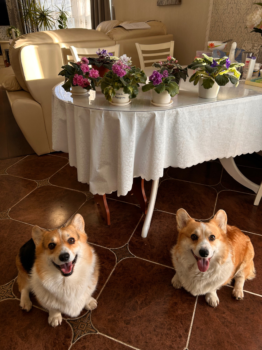 Доброго Вам денёчка, дорогие Подписчики! ☀️