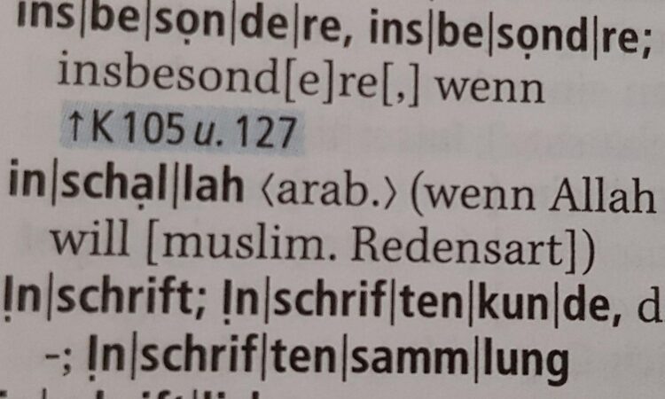 В конце 2019 года выражение inschallah появилось в самом известном орфографическом словаре немецкой лексики – словаре Duden / Источник: diepresse.com