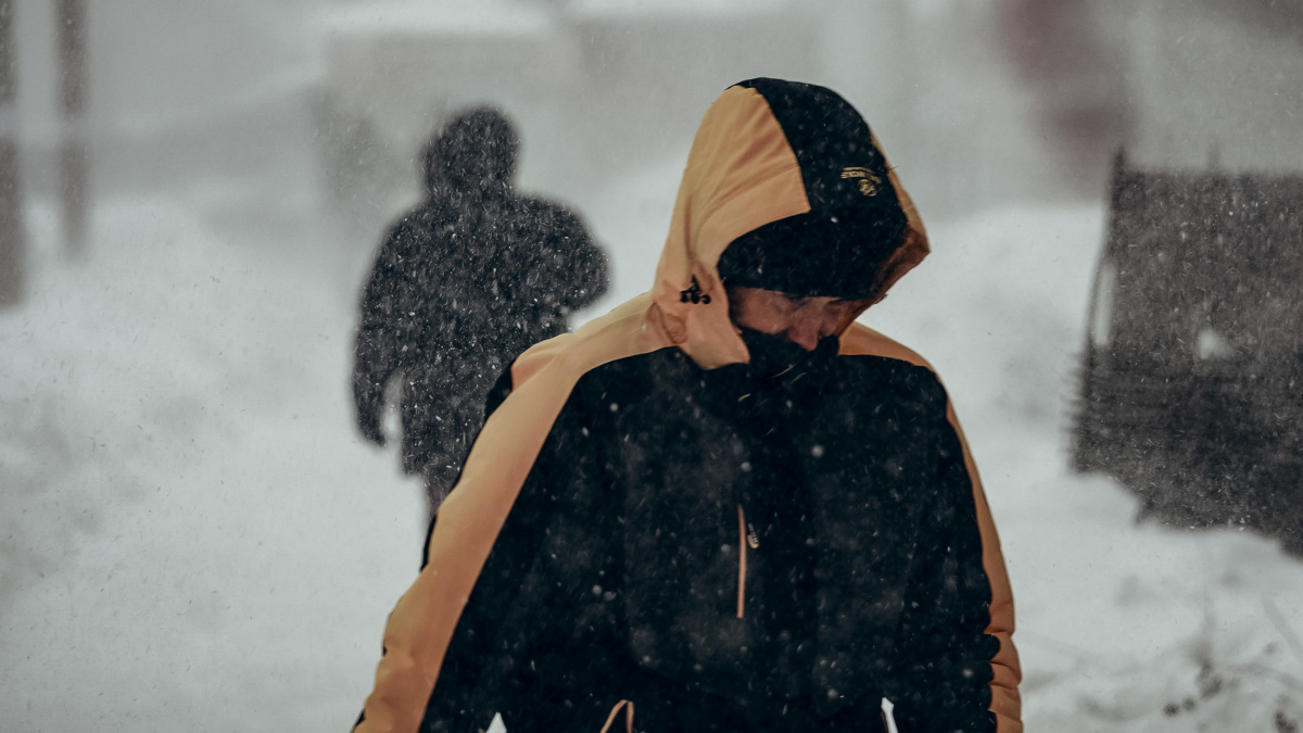 Светлана Мулыкина📷
