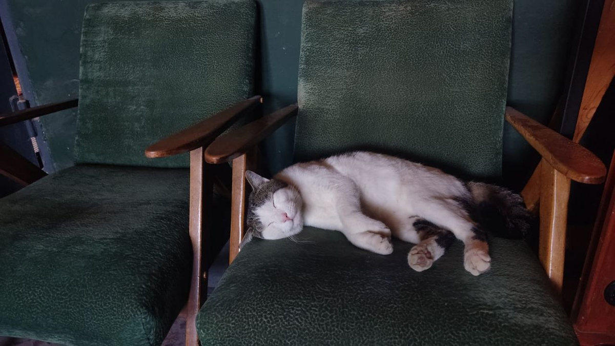 Вася спит - работа кипит. Фото Максима Слуцкого  