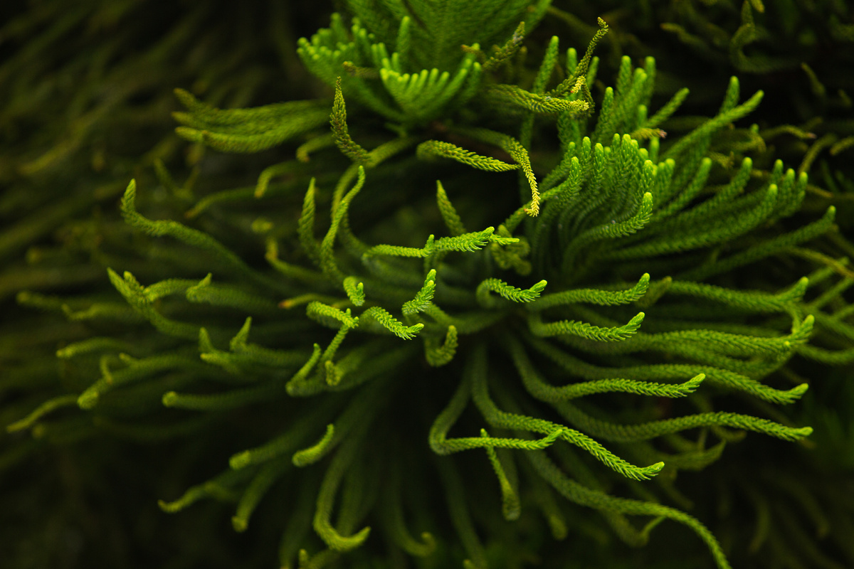 «Designed by Freepik».