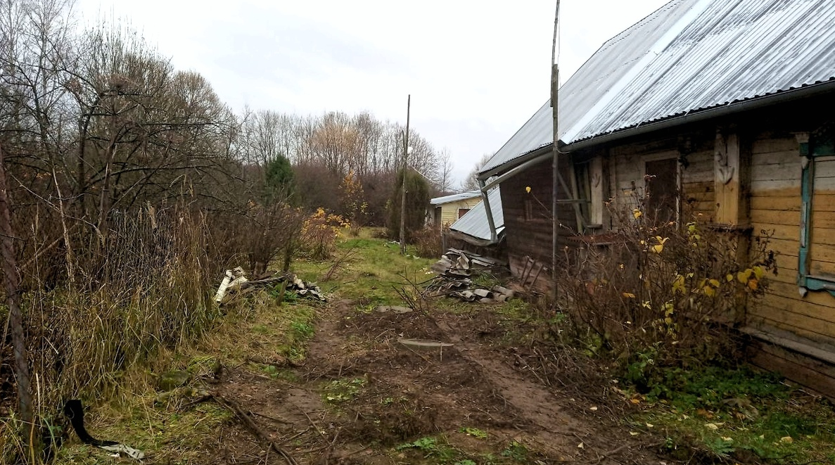 Митенькин прогон сегодня снова "в открытом доступе". Фото из личного архива автора.