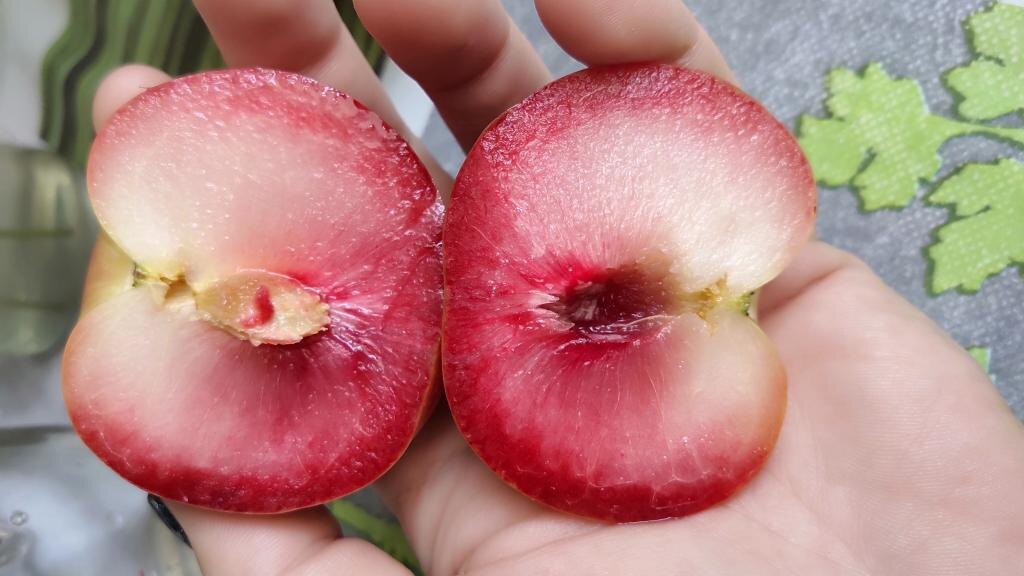 Плуот Даббл Дэнди