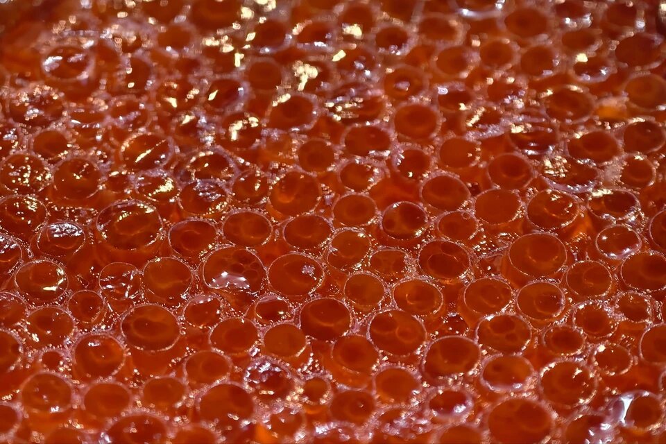 Улов икры в этом году хороший. Прошлый же специалисты признали неурожайным на "красное золото".