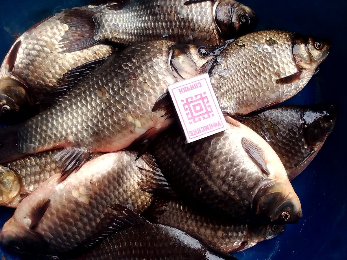 фото из архива автора