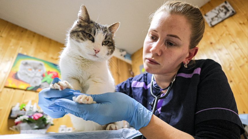    Фото: Сергей Мальгавко/ТАСС
