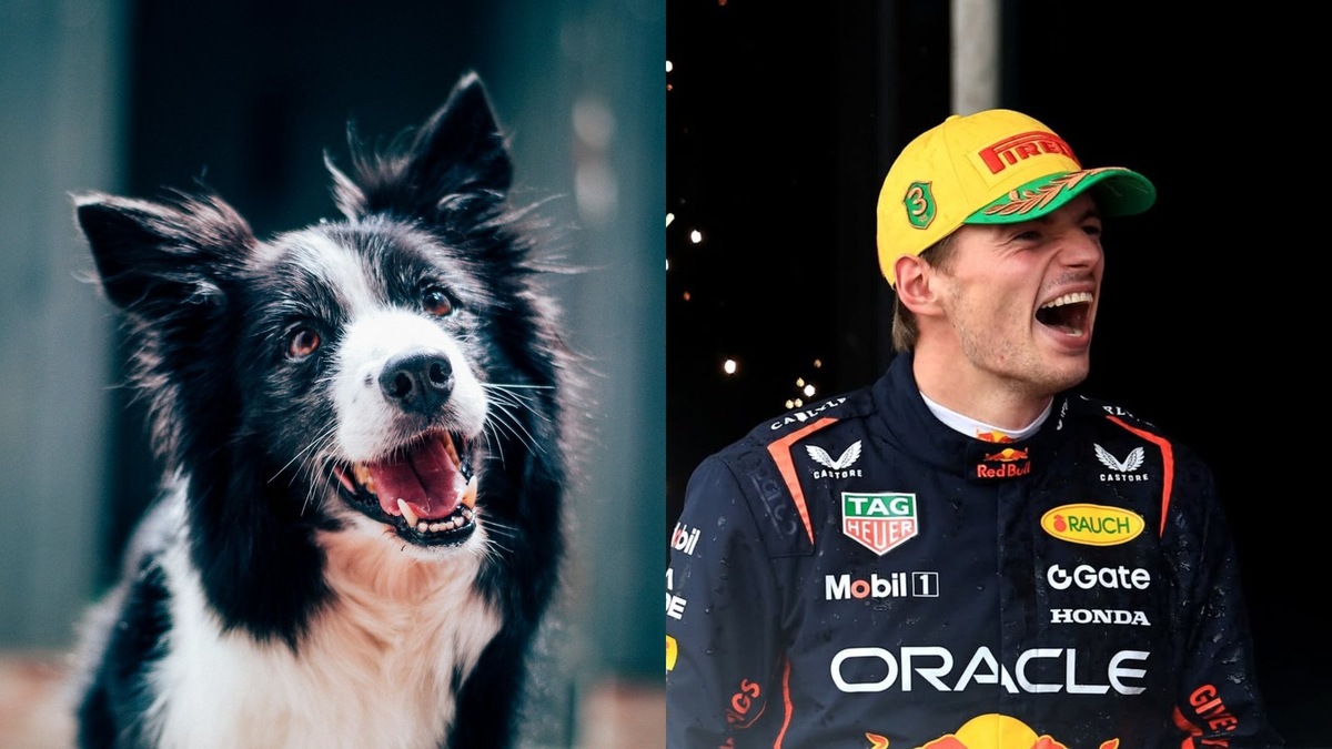    Гений трассы и гений полевой работы — два перфекциониста в своем деле