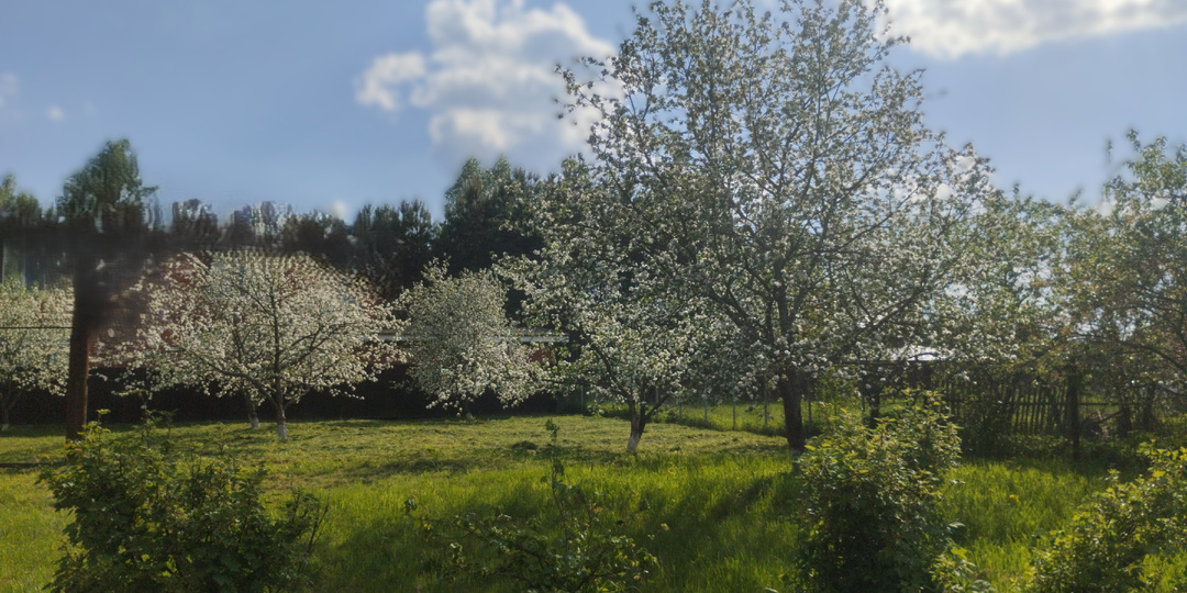 Большой урожай яблок? Вкусные и проверенные рецепты заготовок