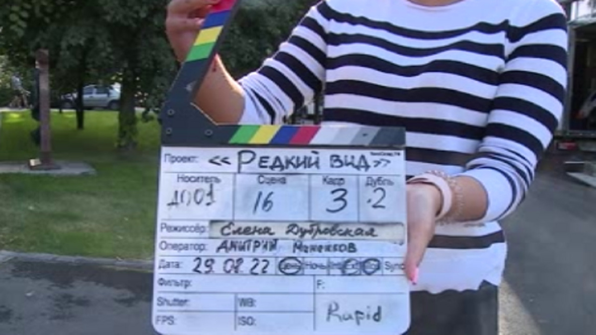    Курские театралы и режиссеры могут принять участие в чемпионате «АртМастерс Регионы»