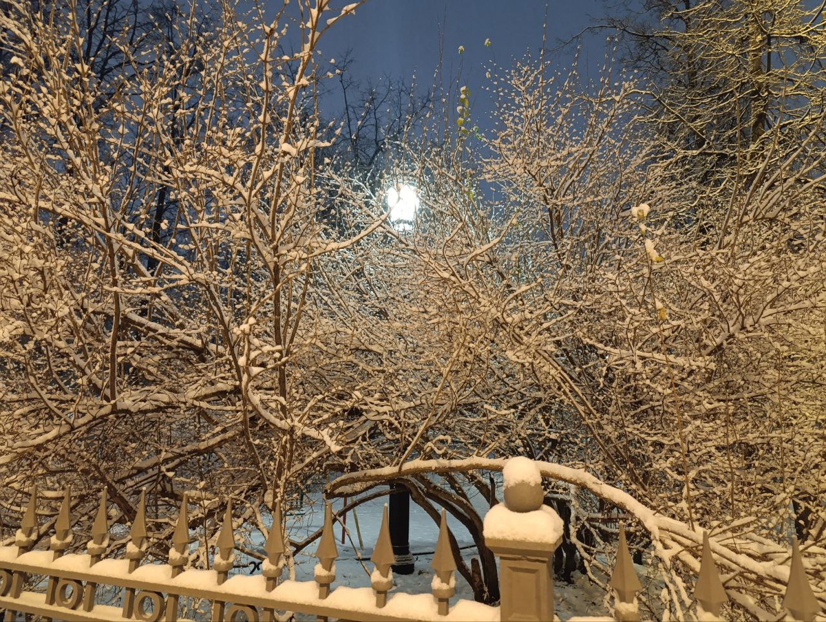 © Форпост Северо-Запад / Алиса Иняхина