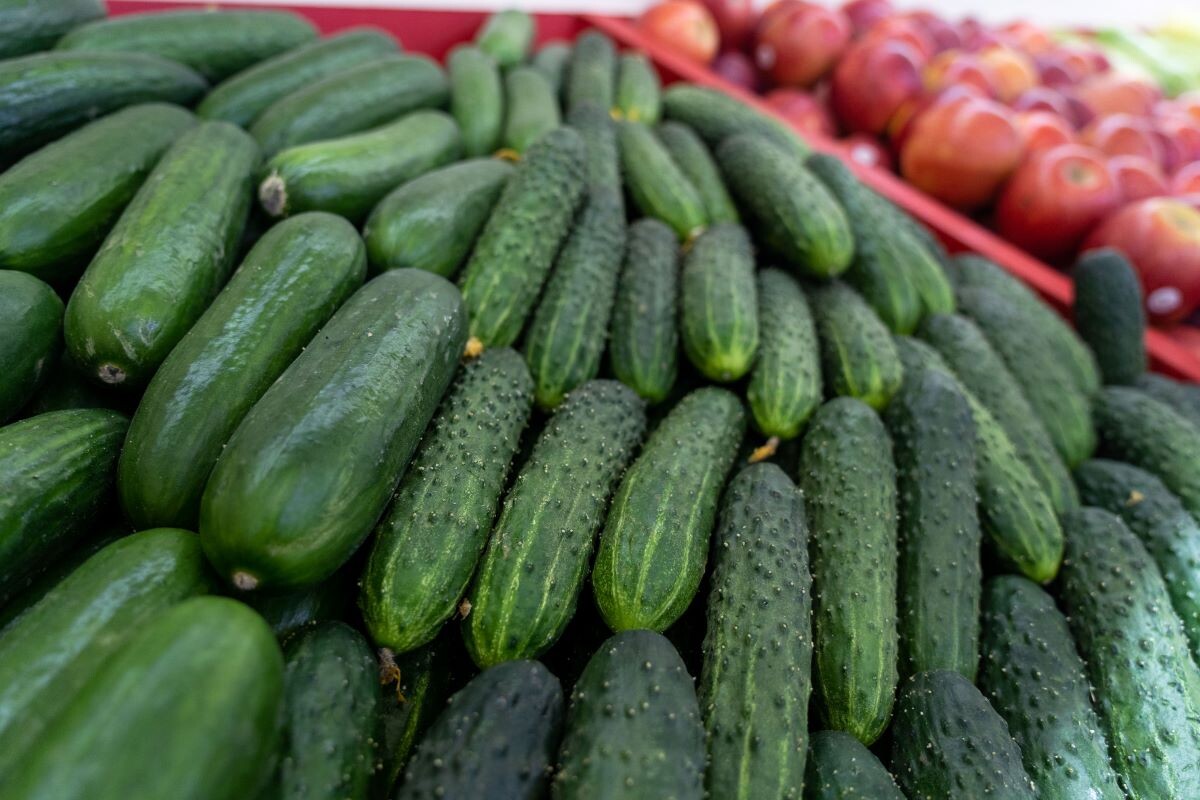 Фото: Александр Плонский / «Агроэксперт»