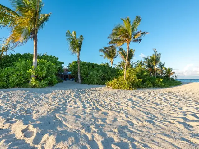 Вы только посмотрите какой шикарный пляж.