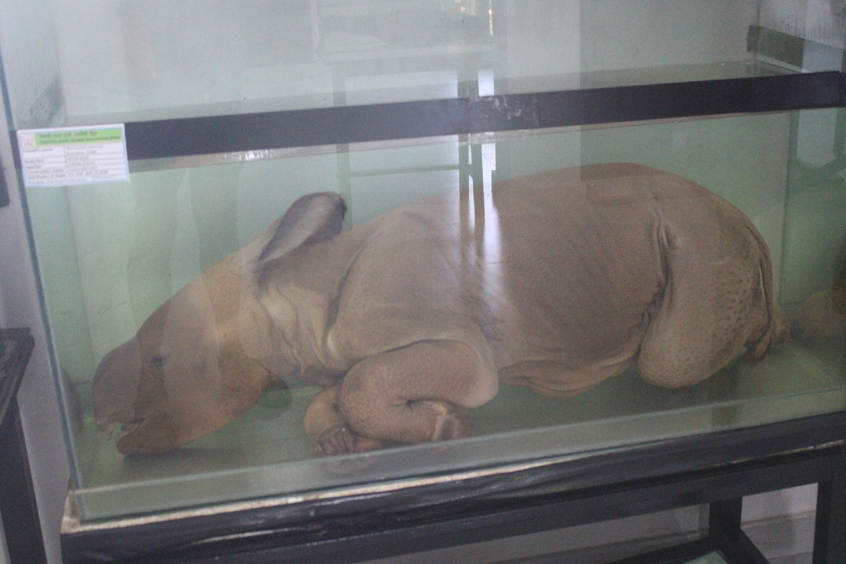 Фото супер!