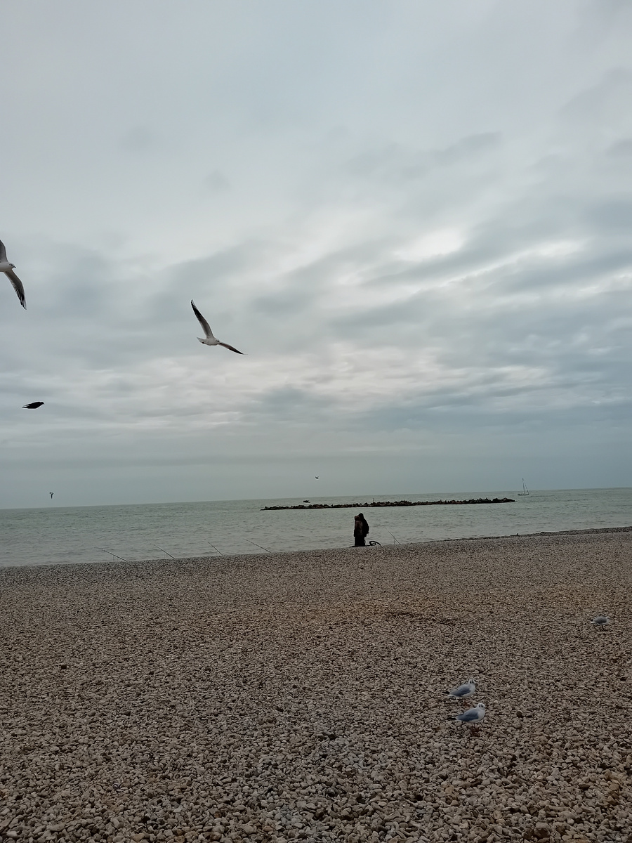 Авторское фото.