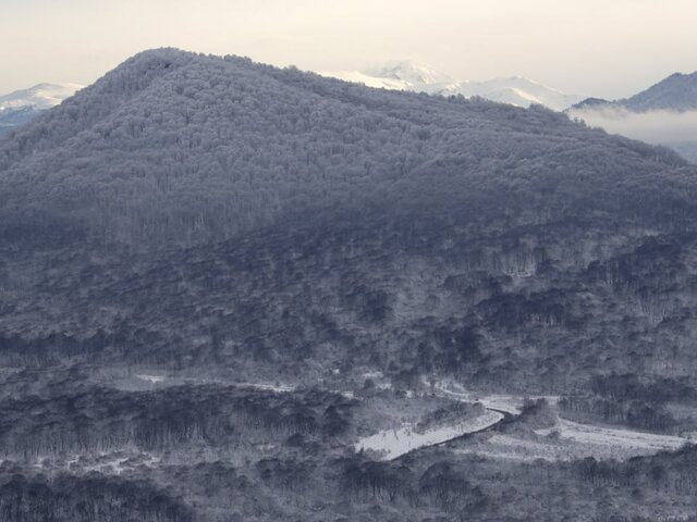    Фото: ТАСС/Дмитрий Феоктистов
