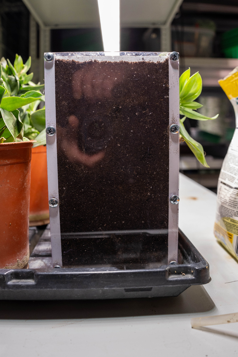 Фотоотчеты сопряжены с массой трудностей - например блики и отражения