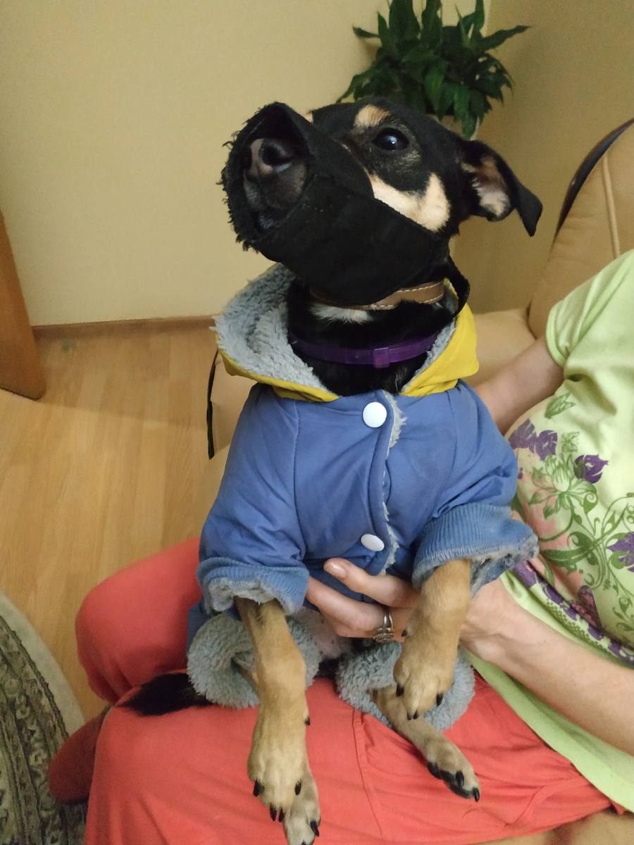 Выходим на прогулку в "боевом" снаряжении