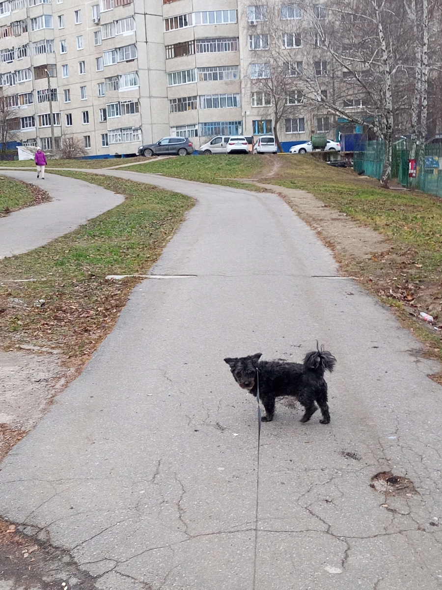 Друг мой ведет меня вперед