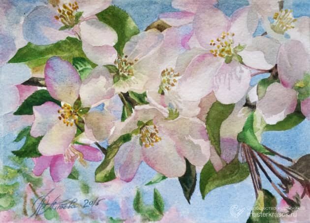 "  "  ; masterkrasok.ru 