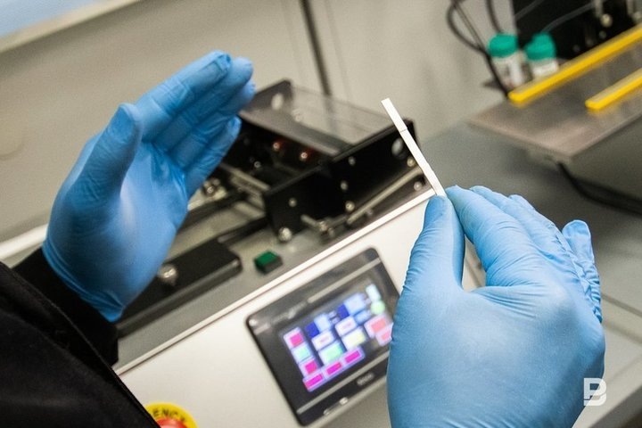   Максим Платонов / realnoevremya.ru