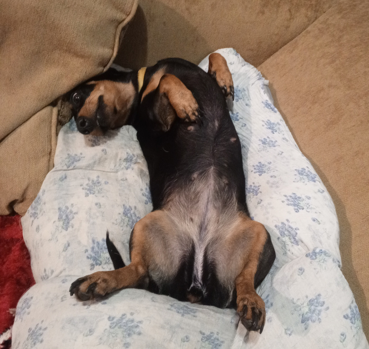 Она тоже плевать хотела на вашу статистику))