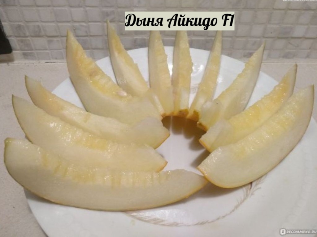 Дыня Айкидо F1 Sakata (Саката) Япония