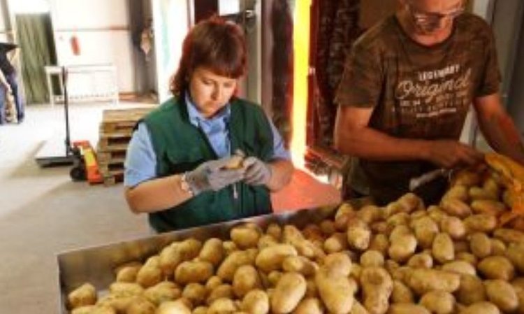    Фото: Россельхознадзор РФ