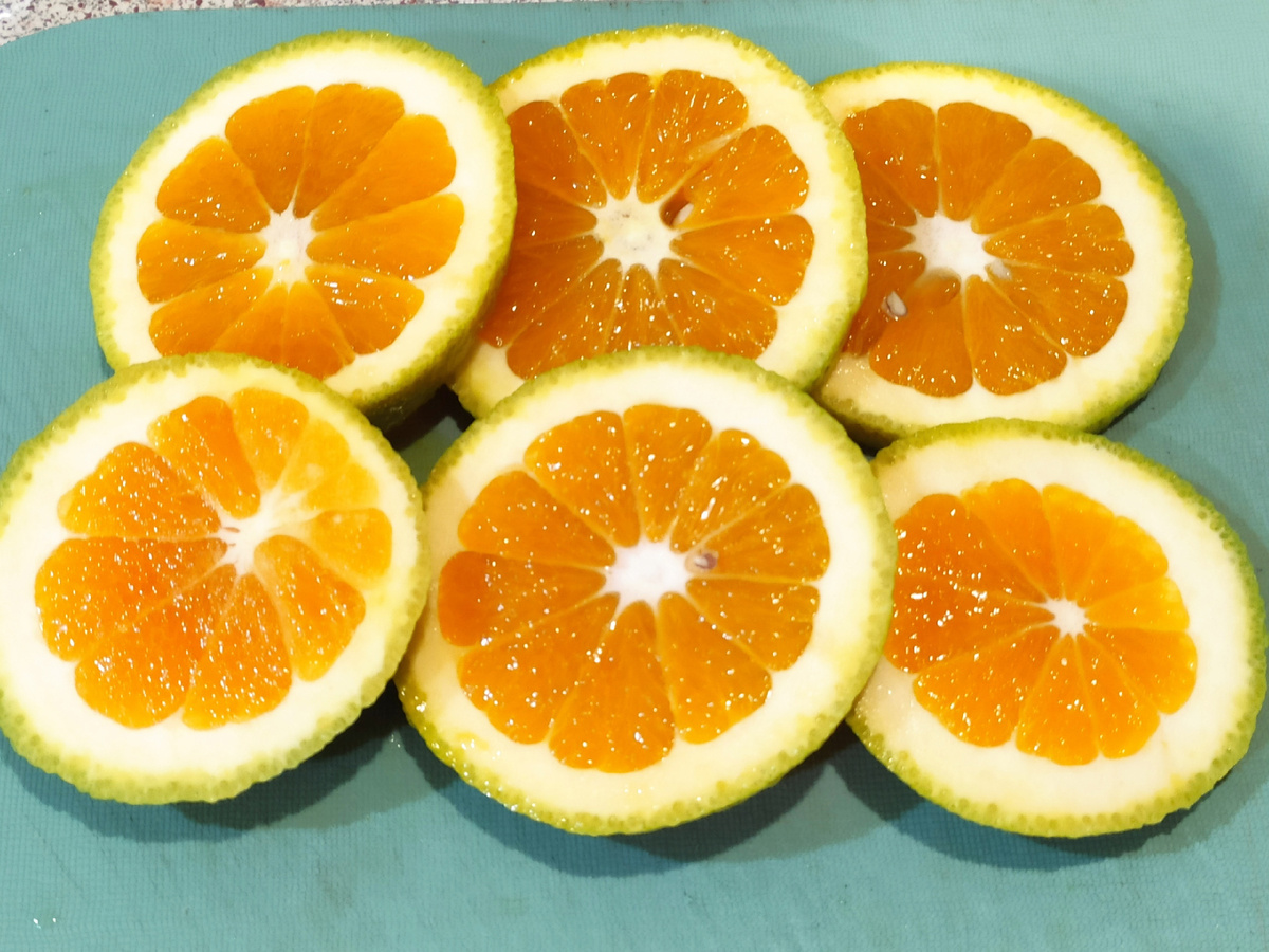 Апельсин Фрагола