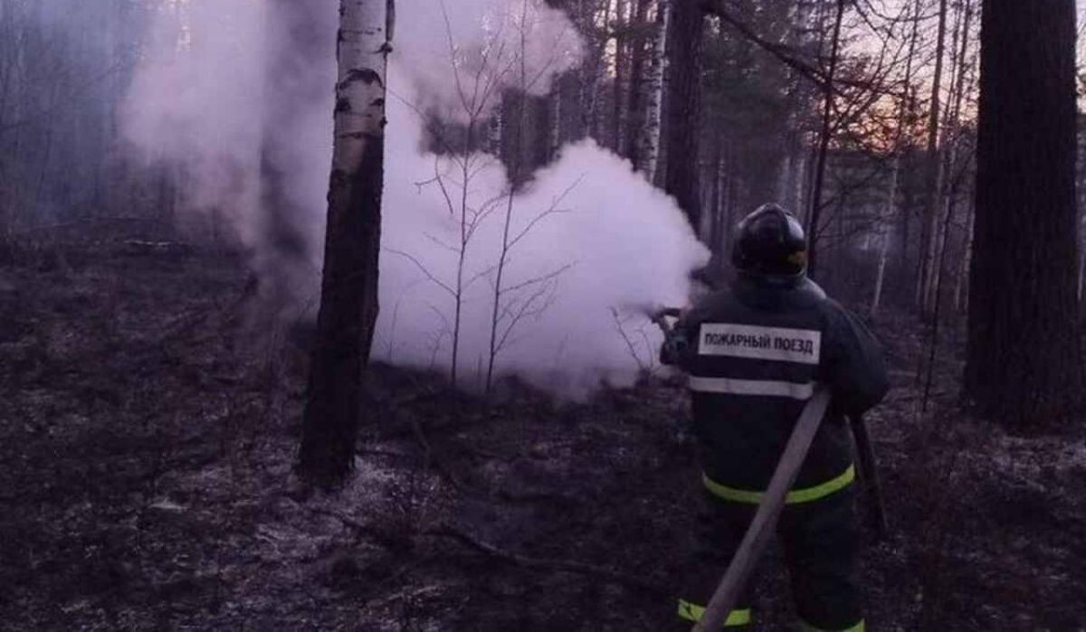     Тушение возгорания вагонов. Источник: ural.kp.ru Автор фото: Пресс-служба СвЖД