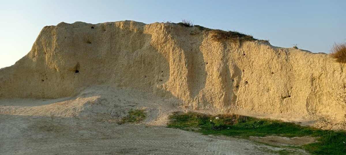 Ласточки у своих гнёзд были замечены