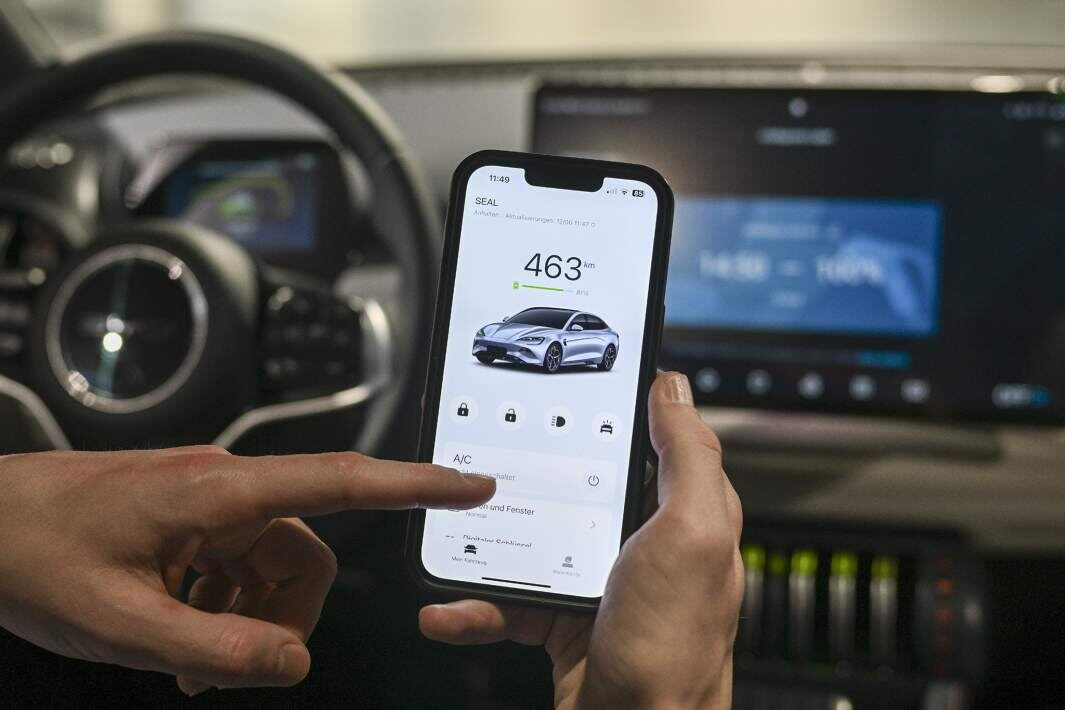 Фото: Global Look Press/Jens Kalaene/dpa