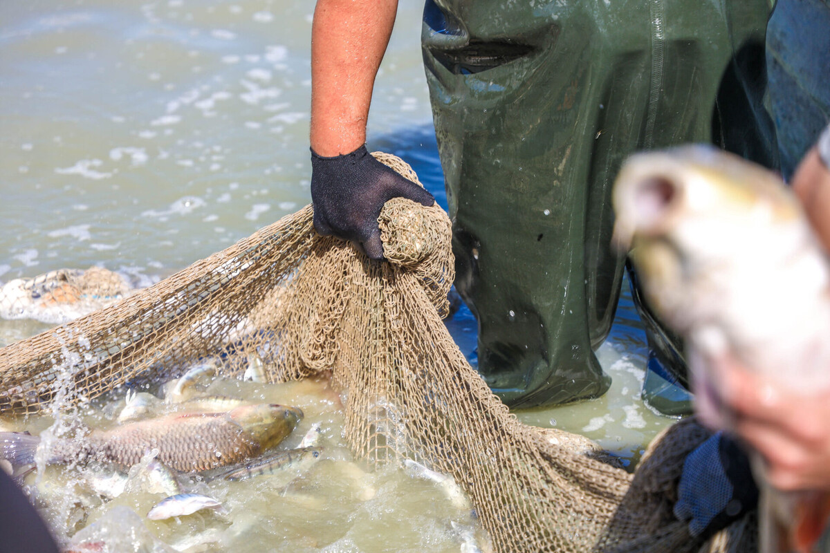    Фото: ТРК «Таврия»