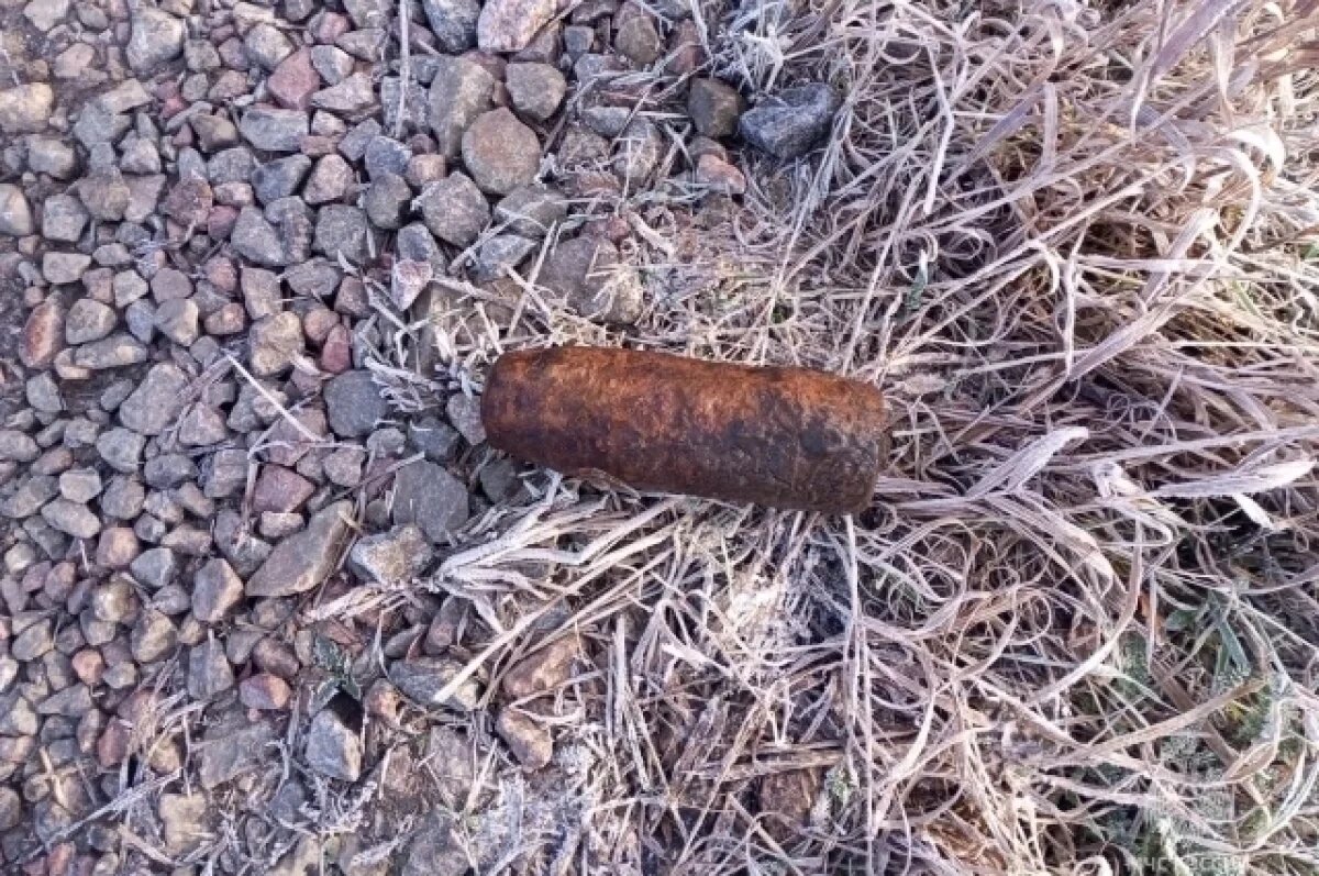    Брянские спасатели обезвредили боеприпас времен Великой Отечественной войны