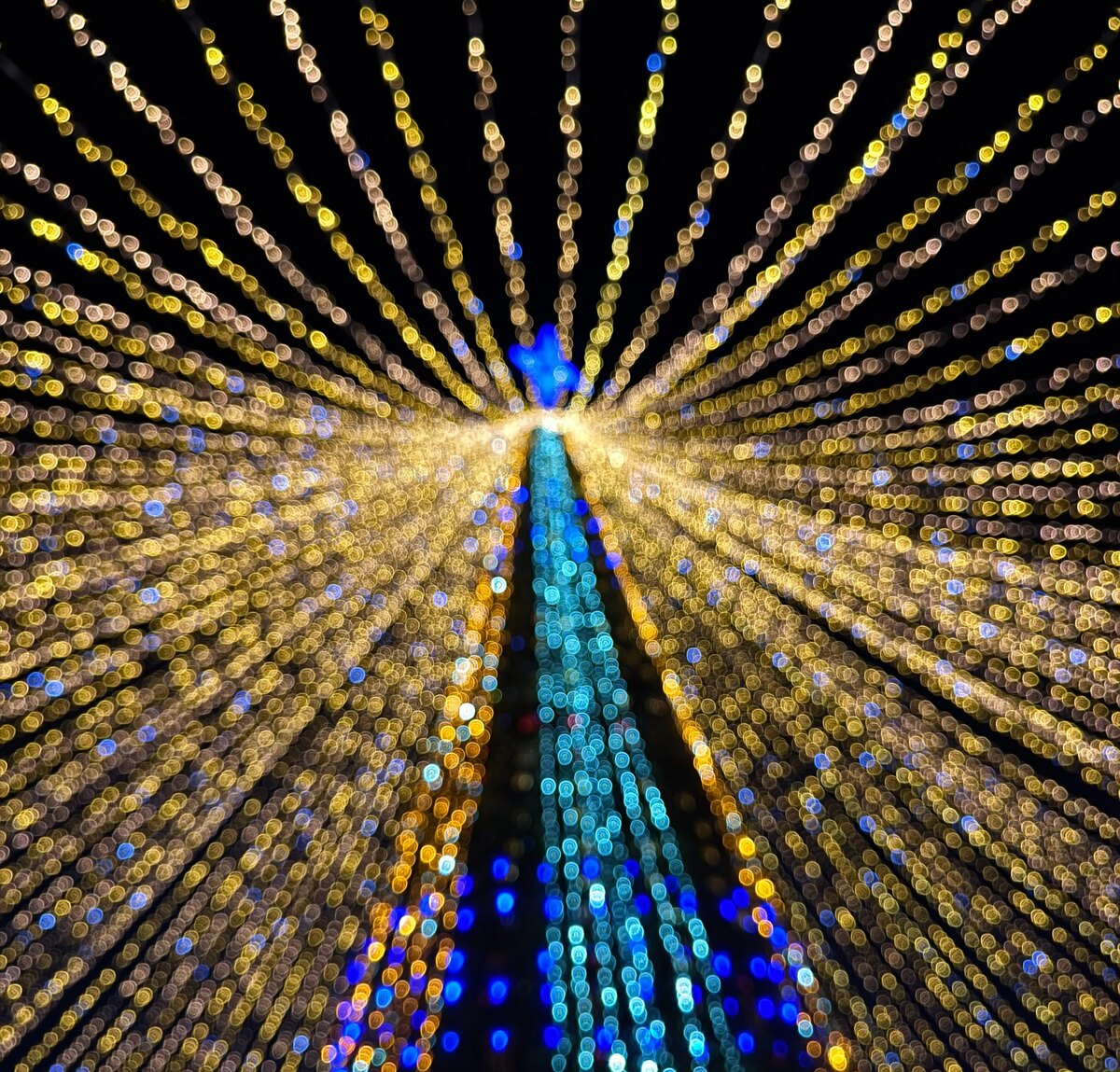 Фото носит иллюстративный характер