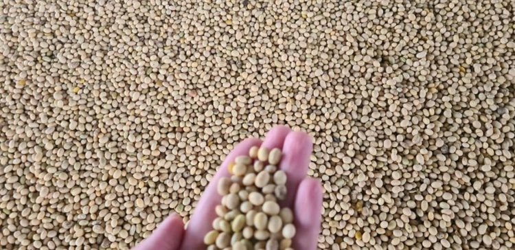    Фото: Правительство Тамбовской области