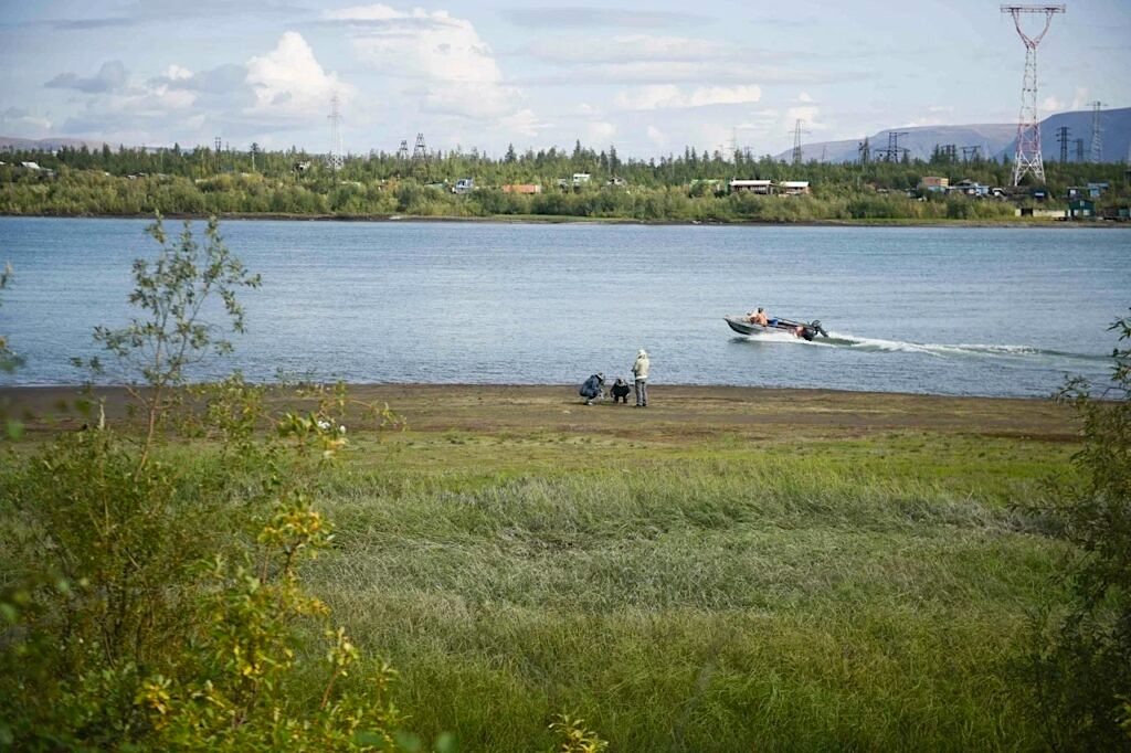 Учёные изучают торфяные отложения на берегу реки в Норильском промышленном районе. Источник: news.sgnorilsk.ru