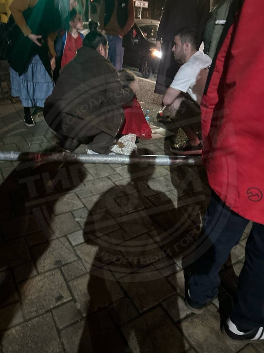    Фото: Telegram/ТИПИЧНЫЙ СОЧИ