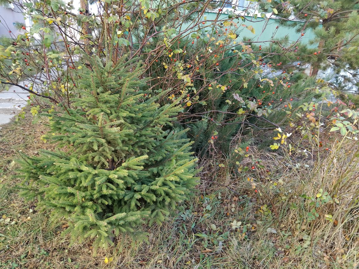 Фото автора, сегодня солнечно