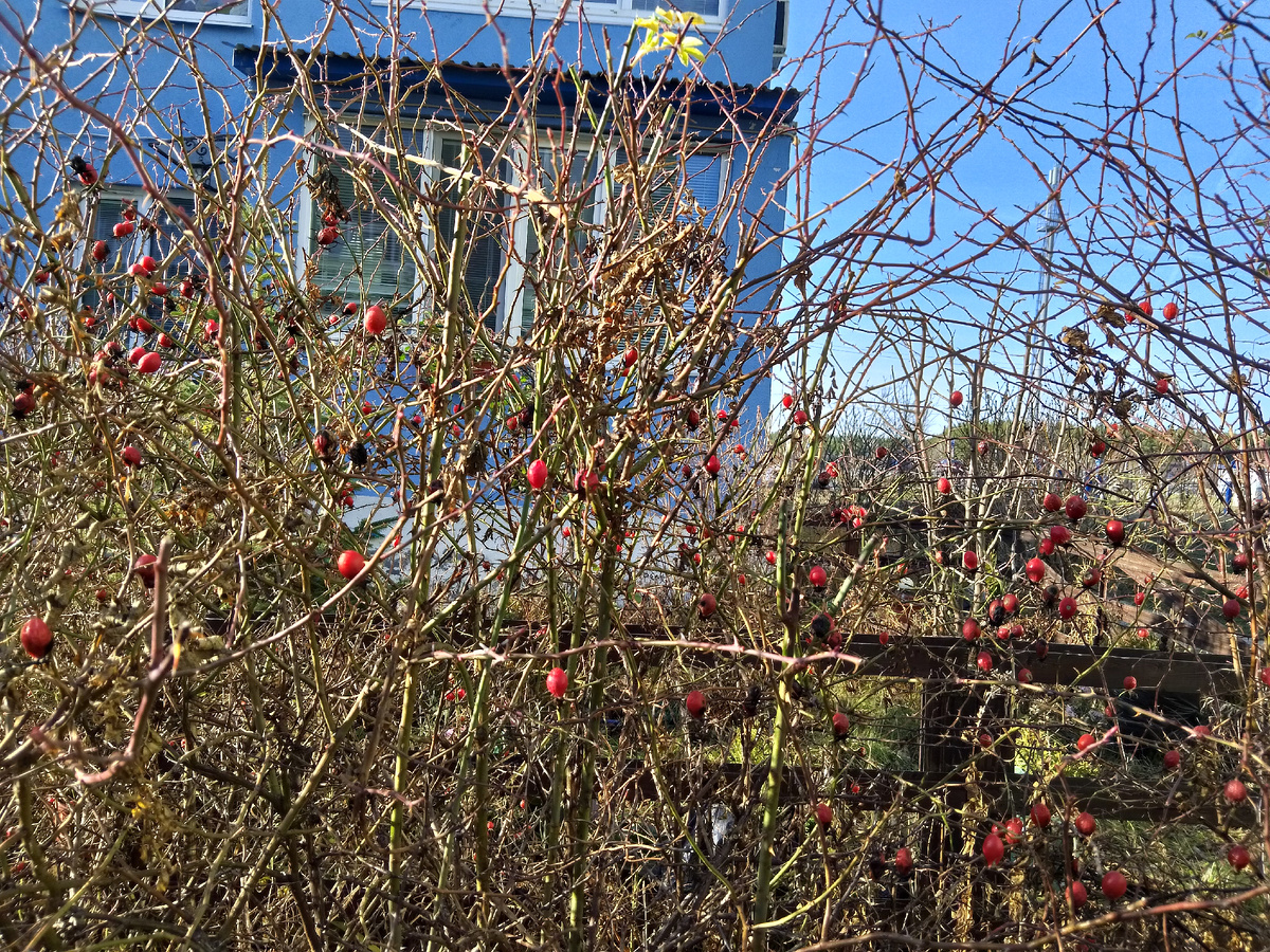 Фото автора, солнечно вокруг