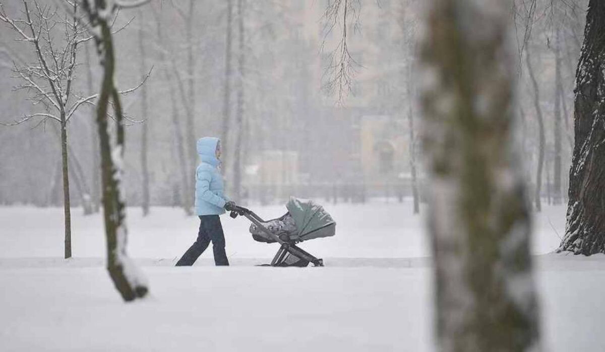     Женщина везёт коляску. Источник: spb.kp.ru Автор фото: Алексей Булатов