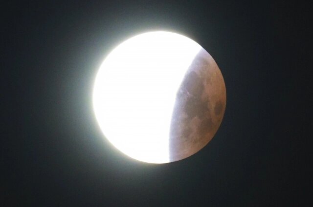    Фото: АиФ/ Виктор Крутов