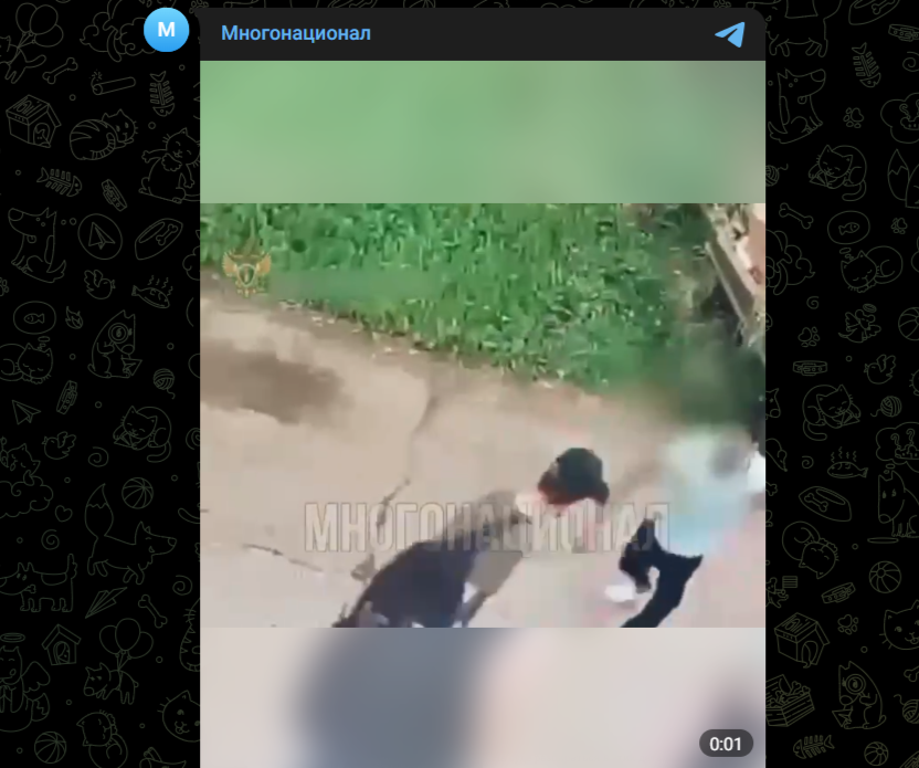 Фото: Telegram-канал "Многонационал"