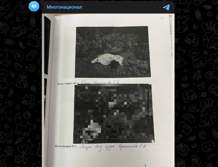 Фото: Telegram-канал "Многонационал"