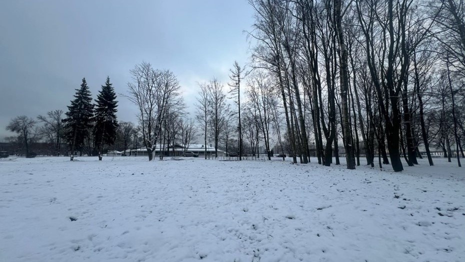    Территория снесённого спортклуба "Sport palace" Автор фото: t.me/PetrichenkoSergey