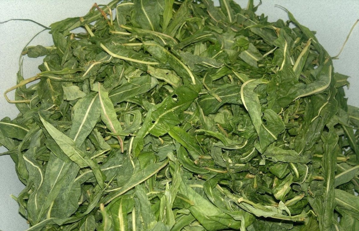    Тайный рецепт ферментированного иван-чая от старообрядцев