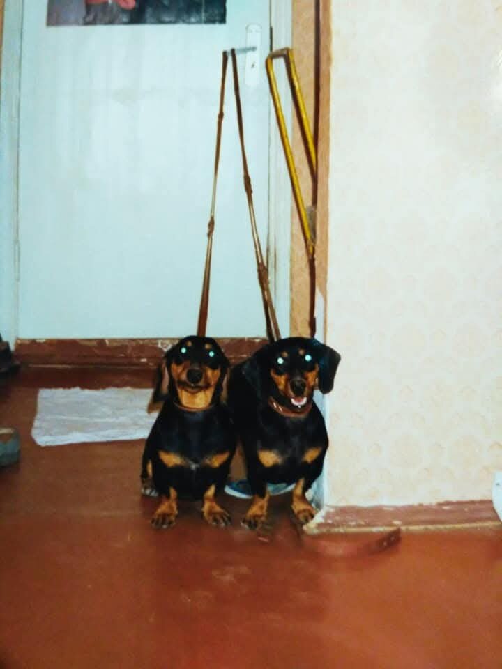 Начало 90 -х. Машка и Лизка