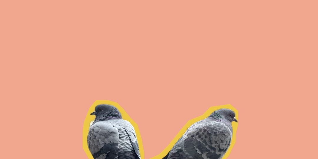 Матери-одиночки vs полные семьи: почему общество стравливает женщин между собой