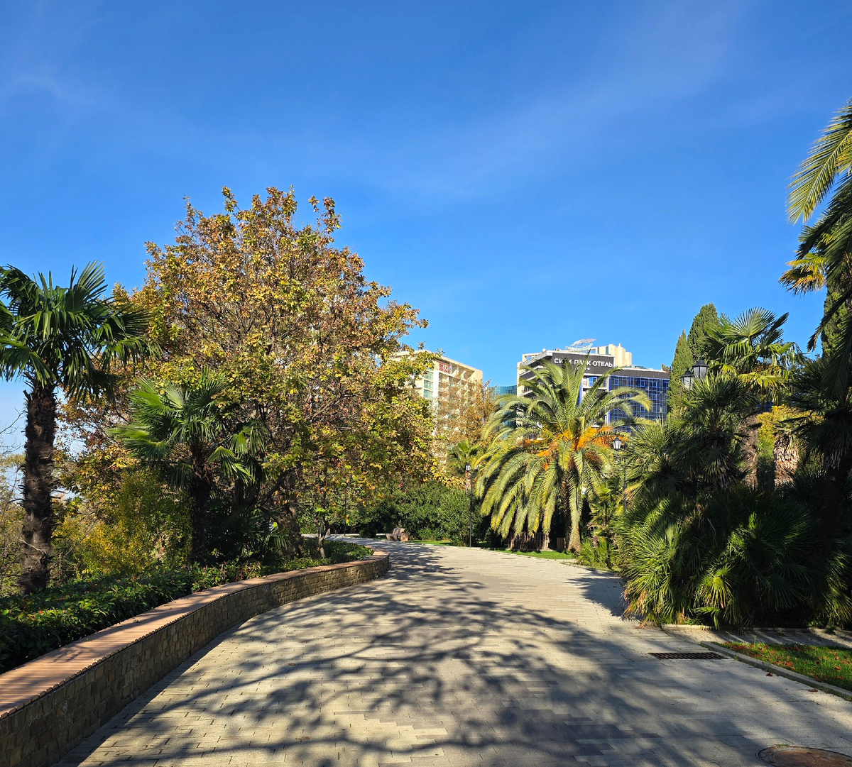 Приморская набережная, вид на City Park Hotel Sochi (бывшая гостиница "Ленинград")