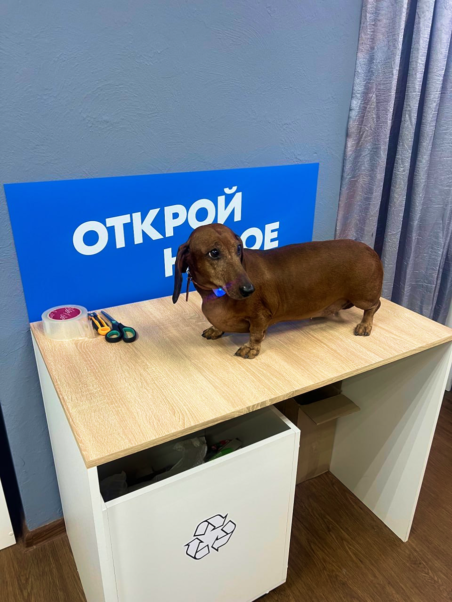 ПВЗ, Самарская Область, Самара, Ярмарочная улица, 13